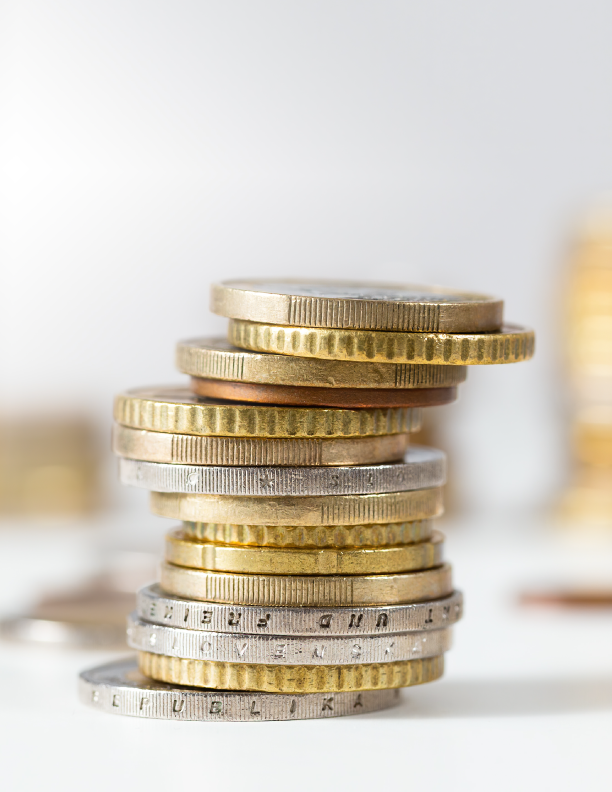 Rentabilidad sostenible